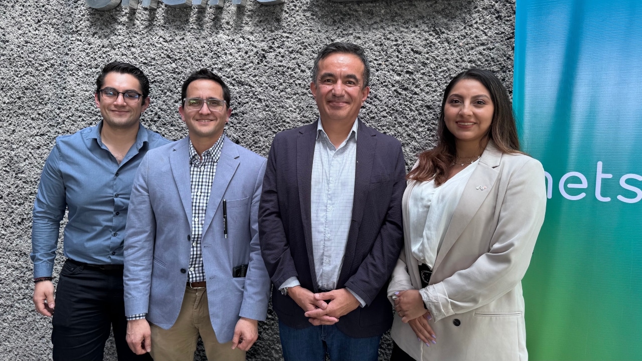 Licencias OnLine y Netskope
