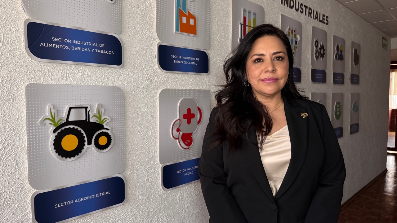 Sector TIEC de CANACINTRA