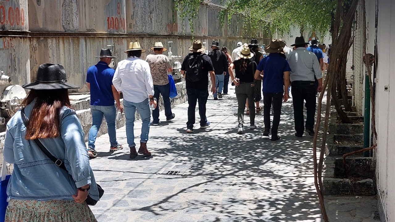 Actividades de la Experiencia Premium de CVA
